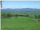 1550 Buckajo Road, Buckajo NSW 2550
