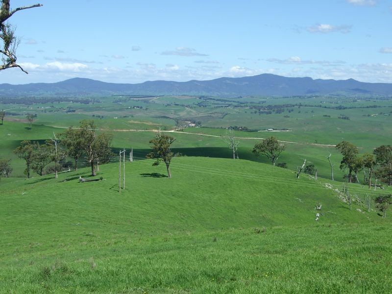 1550 Buckajo Road, Buckajo NSW 2550