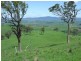 1550 Buckajo Road, Buckajo NSW 2550