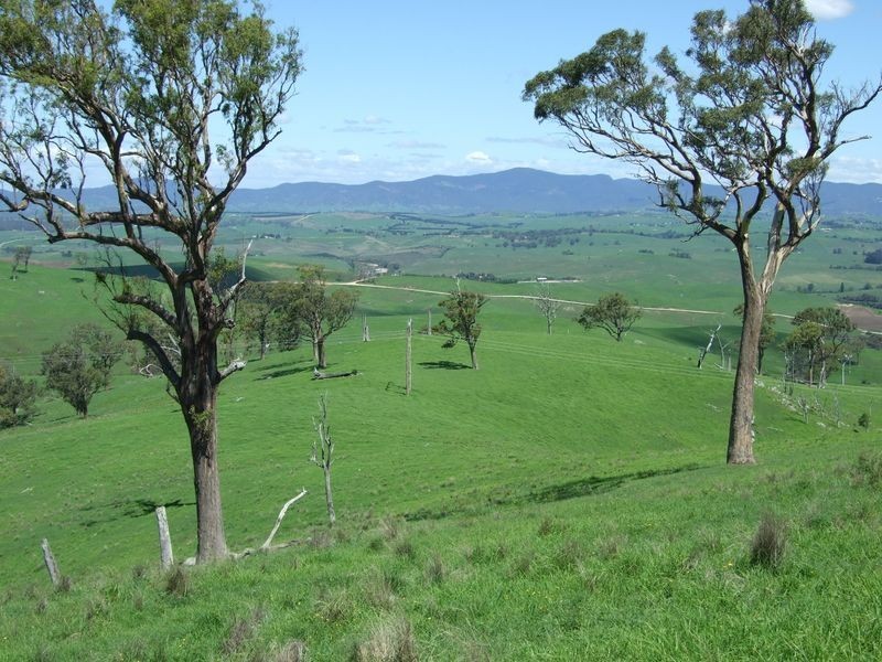 1550 Buckajo Road, Buckajo NSW 2550