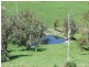 1550 Buckajo Road, Buckajo NSW 2550