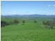 1550 Buckajo Road, Buckajo NSW 2550