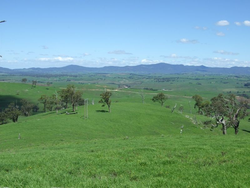 1550 Buckajo Road, Buckajo NSW 2550