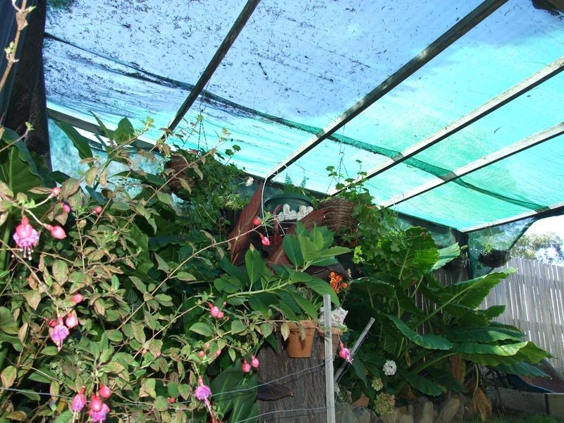 37 – 39 Bermagui Street, Quaama NSW 2550