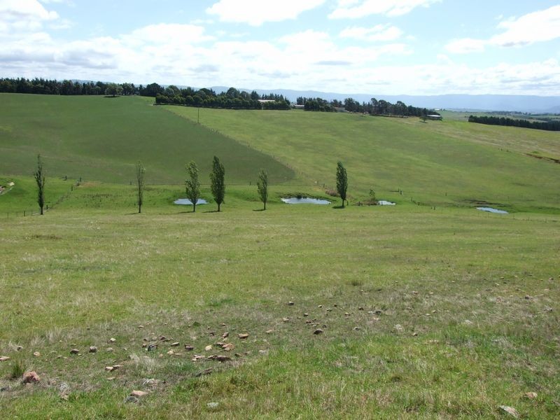 Lot 5 Wyndham Lane via, Bega NSW 2550