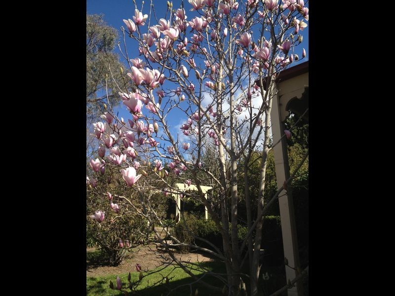 ‘Fairview’ Wyndham Lane via, Bega NSW 2550