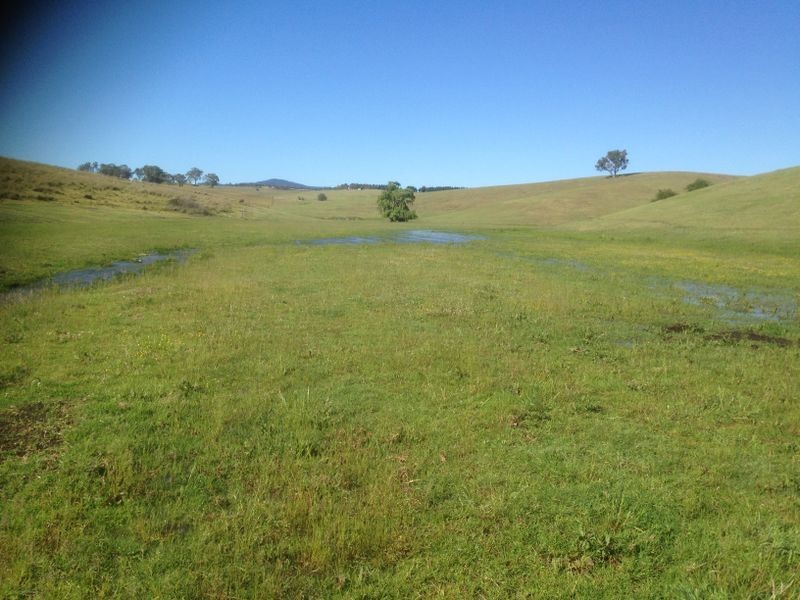 ‘Fairview’ Wyndham Lane via, Bega NSW 2550