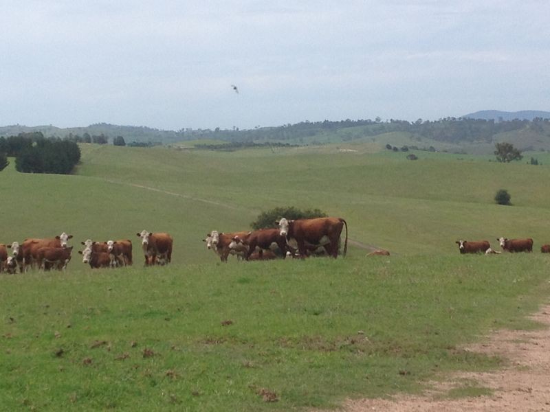 ‘Fairview’ Wyndham Lane via, Bega NSW 2550