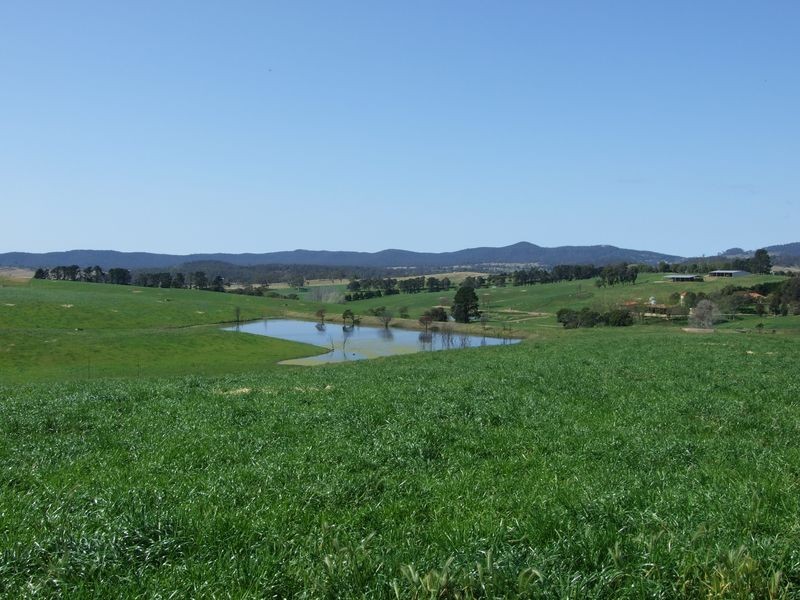 966 Candelo – Wolumla Road, Wolumla NSW 2550