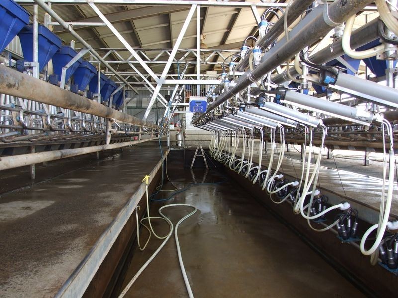 966 Candelo – Wolumla Road, Wolumla NSW 2550