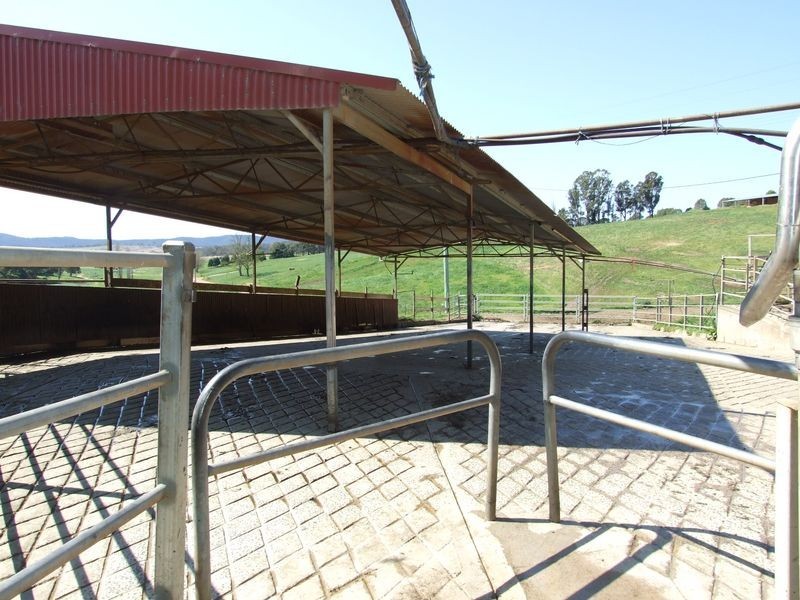 966 Candelo – Wolumla Road, Wolumla NSW 2550