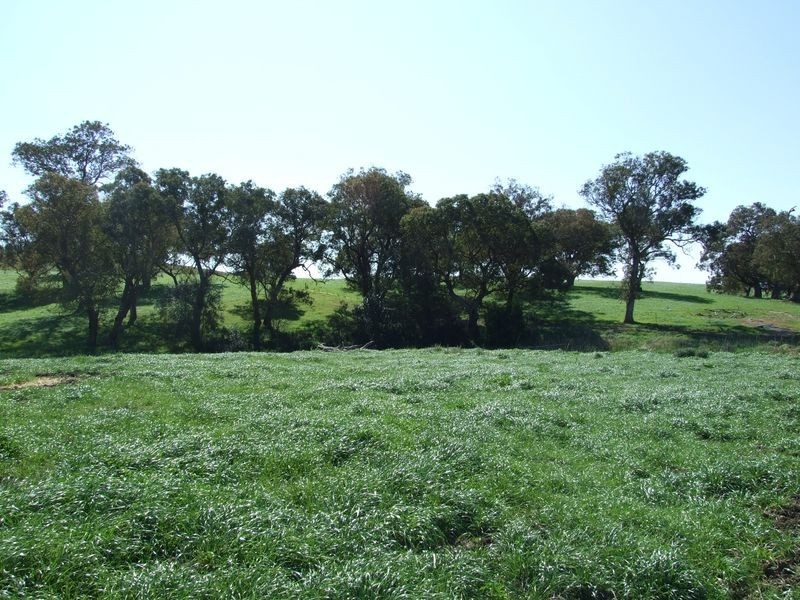 966 Candelo – Wolumla Road, Wolumla NSW 2550