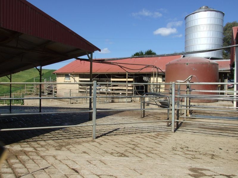 966 Candelo – Wolumla Road, Wolumla NSW 2550