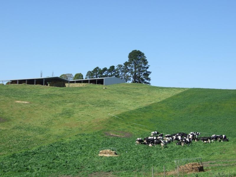 966 Candelo – Wolumla Road, Wolumla NSW 2550