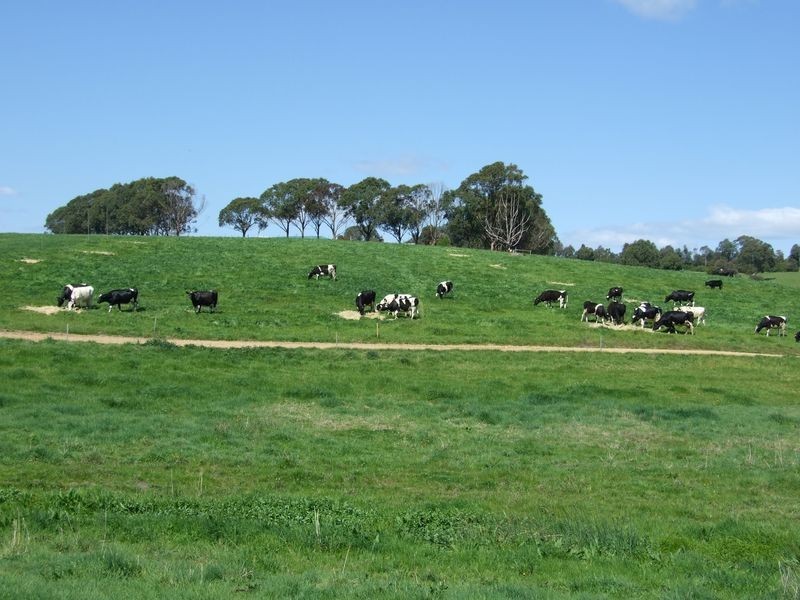 966 Candelo – Wolumla Road, Wolumla NSW 2550