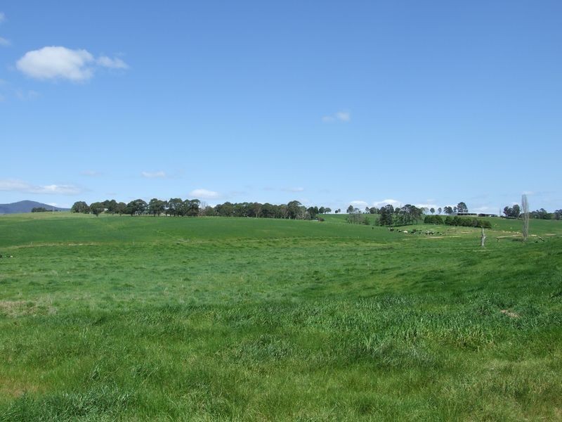 966 Candelo – Wolumla Road, Wolumla NSW 2550