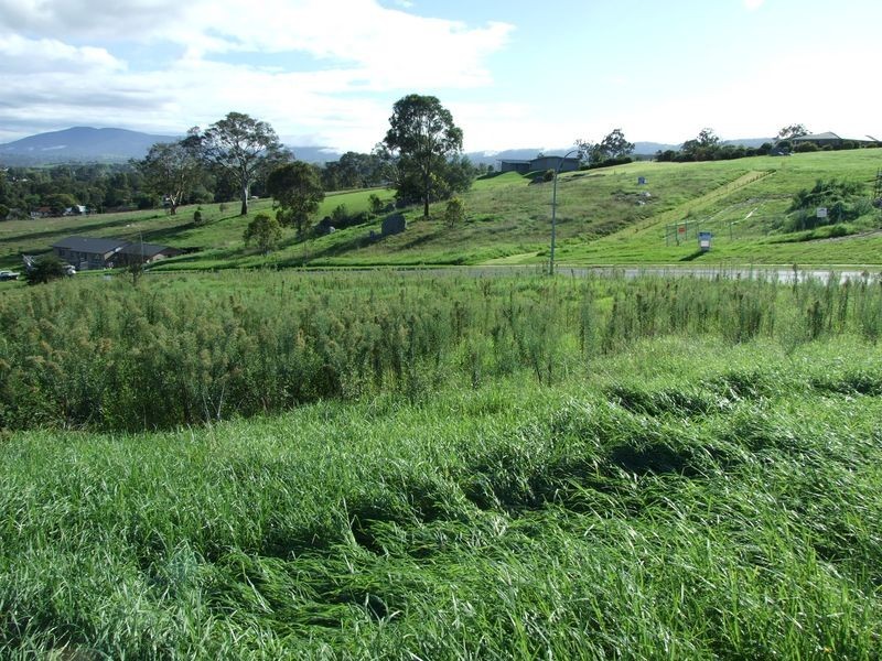75 Glen Mia Drive, Bega NSW 2550