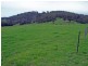 Lot 5 Village Street, Cobargo NSW 2550
