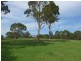 71 Greenpoint Road, Millingandi NSW 2549