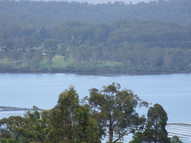 71 Greenpoint Road, Millingandi NSW 2549