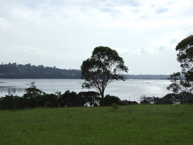 71 Greenpoint Road, Millingandi NSW 2549