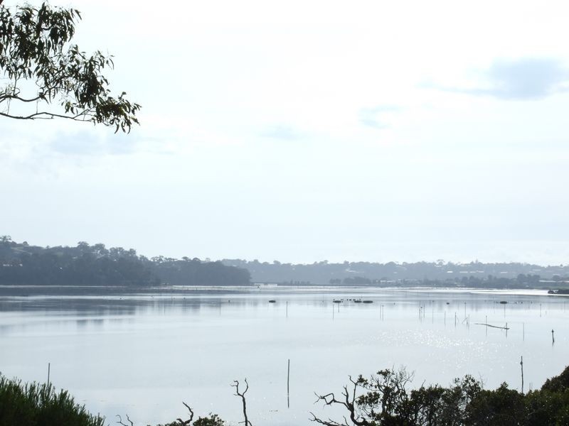 71 Greenpoint Road, Millingandi NSW 2549