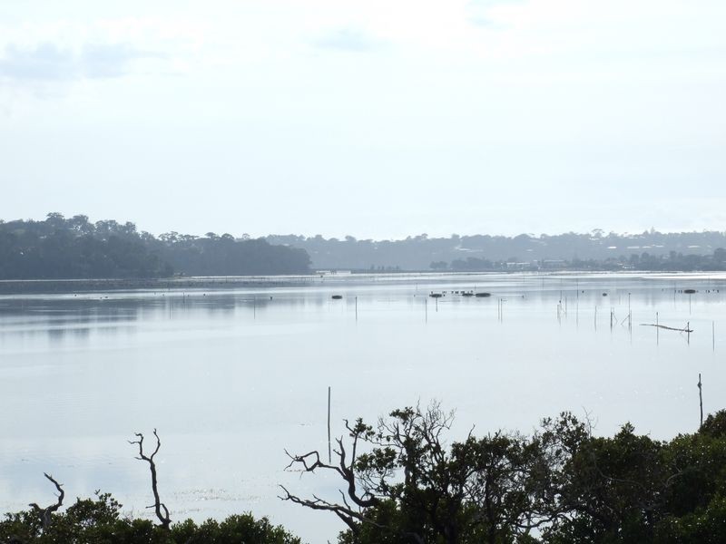 71 Greenpoint Road, Millingandi NSW 2549