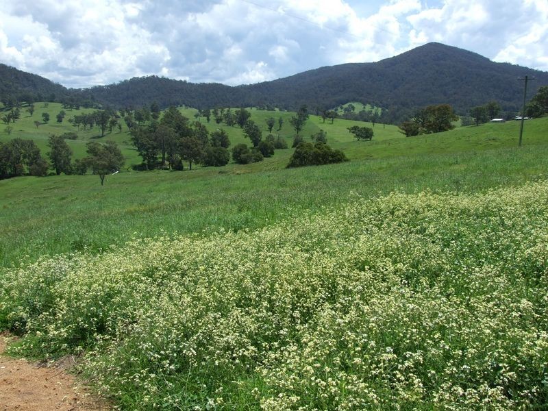 Lot 2 Gilberts Road, Quaama NSW 2550