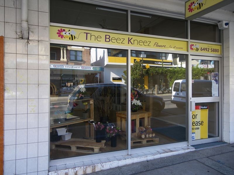 197 Carp Street, Bega NSW 2550