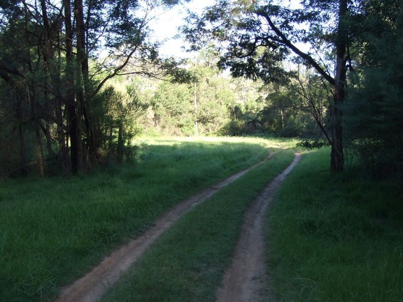 425 Reedy Swamp Road, Tarraganda NSW 2550