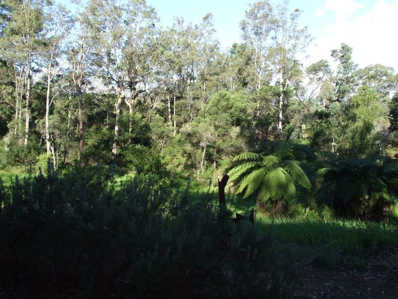 425 Reedy Swamp Road, Tarraganda NSW 2550