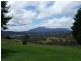 1177 Bermagui-Cobargo Road, Cobargo NSW 2550