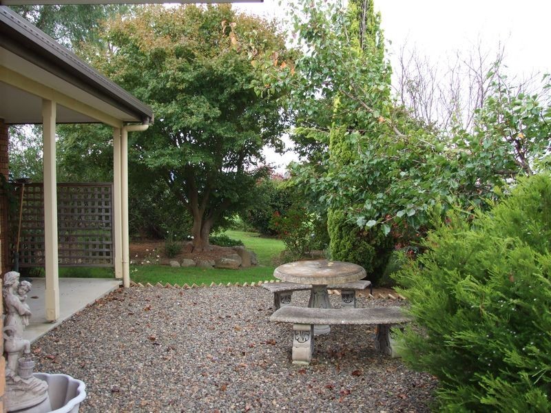 1177 Bermagui-Cobargo Road, Cobargo NSW 2550