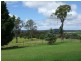 1177 Bermagui-Cobargo Road, Cobargo NSW 2550