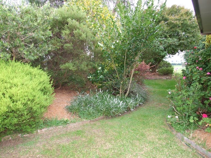 1177 Bermagui-Cobargo Road, Cobargo NSW 2550