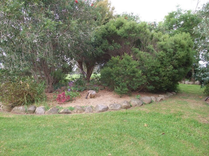 1177 Bermagui-Cobargo Road, Cobargo NSW 2550