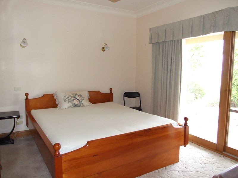 1177 Bermagui-Cobargo Road, Cobargo NSW 2550