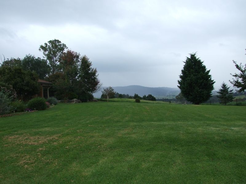 1177 Bermagui-Cobargo Road, Cobargo NSW 2550