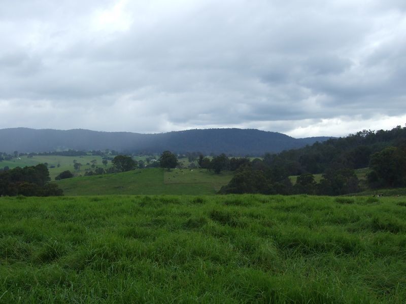 1177 Bermagui-Cobargo Road, Cobargo NSW 2550