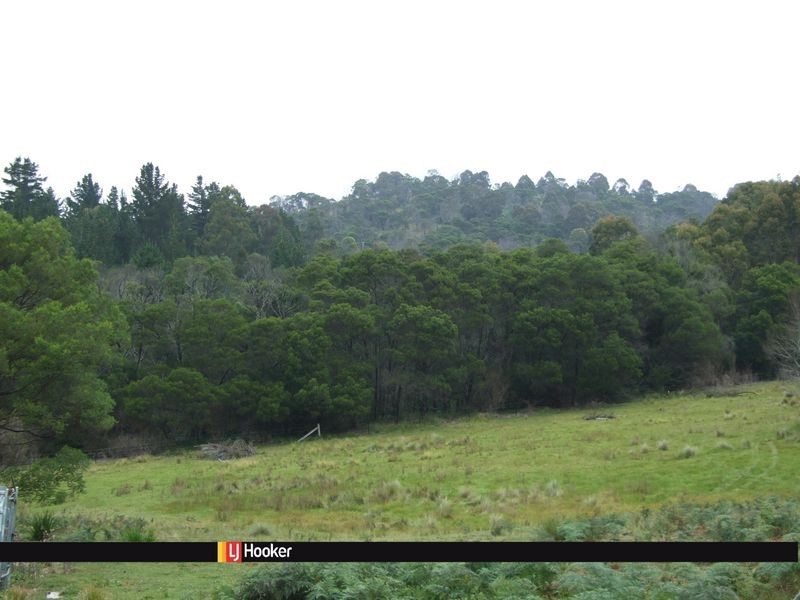 121 Devils Hole Road, Wyndham NSW 2550