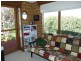 55 Finucanes Lane, Bega NSW 2550