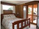 55 Finucanes Lane, Bega NSW 2550