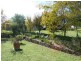 55 Finucanes Lane, Bega NSW 2550