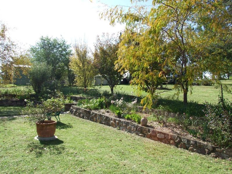 55 Finucanes Lane, Bega NSW 2550
