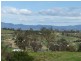 55 Finucanes Lane, Bega NSW 2550