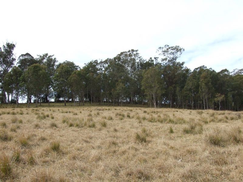 ‘Naria’ Princes Highway, Cobargo NSW 2550
