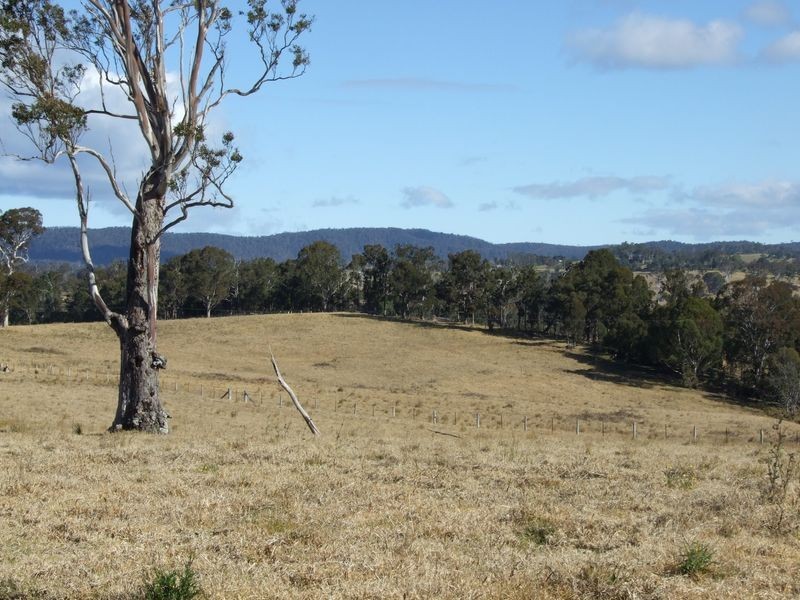 ‘Naria’ Princes Highway, Cobargo NSW 2550
