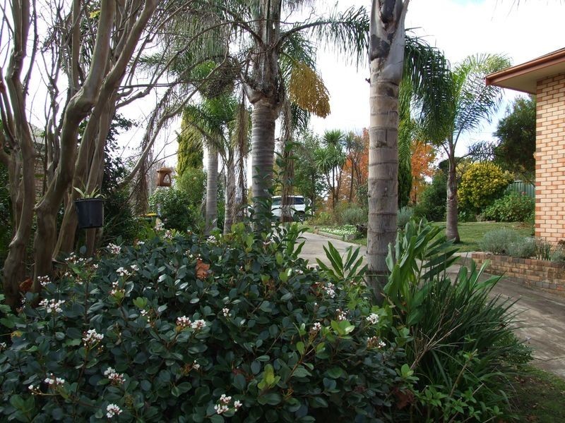 4 Parbery Crescent, Bega NSW 2550