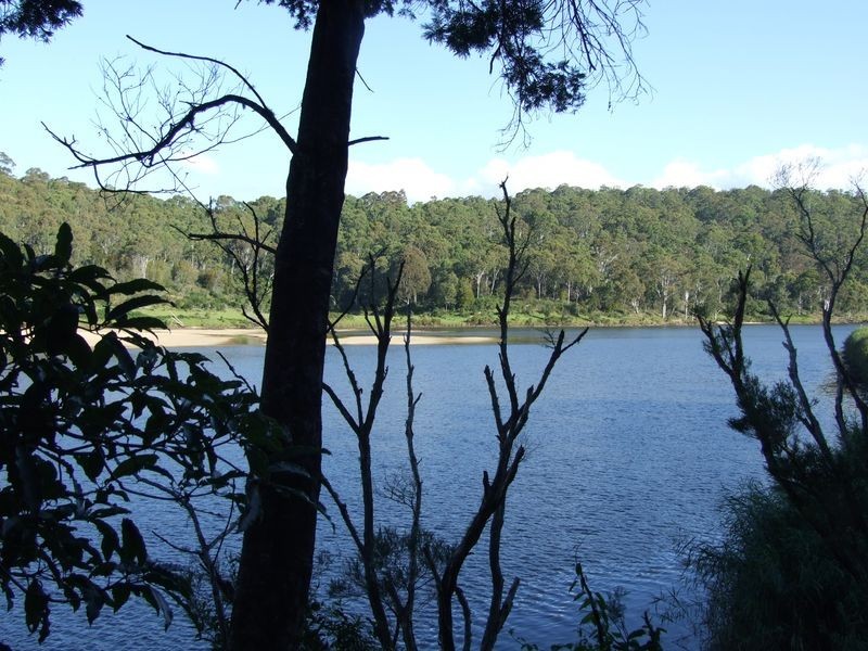 154 Vimy Ridge Road, Bega NSW 2550