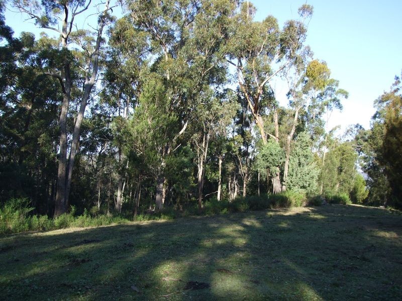 154 Vimy Ridge Road, Bega NSW 2550